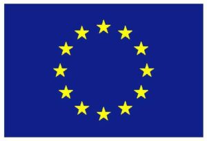 EU flag_yellow_low