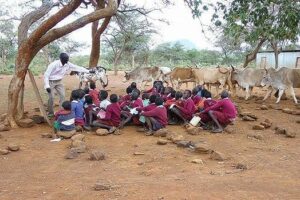 Pupils of Nachurur Primary School learning under a tree. PHOTO | COURTESY