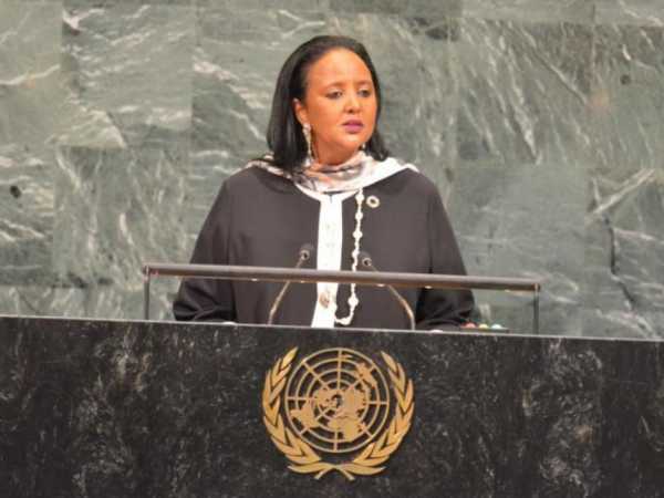 CS Amina named one of UN General Assembly president's advisers