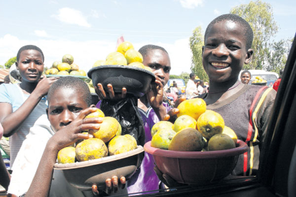 School children from Gem sell mangoes by the roadside at Ndori trading centre at the weekend. The fruits, which are in season there, cost Sh50 per bowl, making it an attractive business for students on holiday.  A new study shows that Nairobi is the richest county and Turkana the poorest. PHOTO/JACOB OWITI