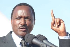 The different faces of Kalonzo Musyoka