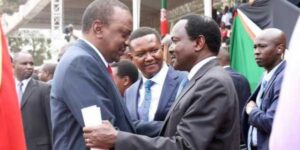 “Why Kalonzo Should Have Held Press Conference to Thank Uhuru,” MP Claims