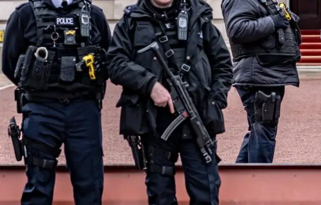 UK Border Control seize 36 giant African land snails at Airport 1 UK Border Control seize 36 giant African land snails at Airport