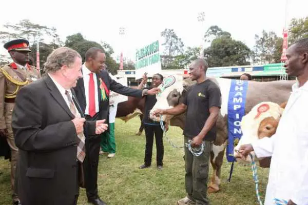 Photos: The Sh 450,000 Bull Uhuru bought at the Fair 2 bull5