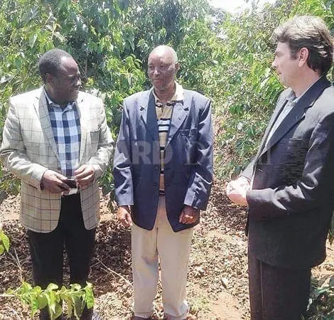 Nyeri MCAs Cast Doubts on US Coffee Dealer’s Ability