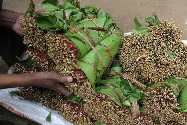 Musa Gurian Biography: Family Life and Financial Success 