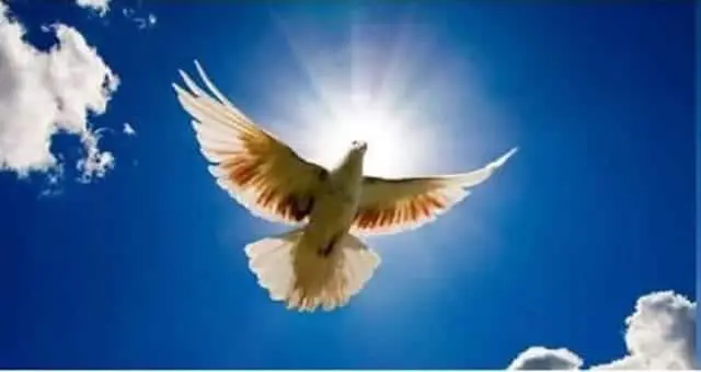 Inspiration: Never Take Friends for Granted