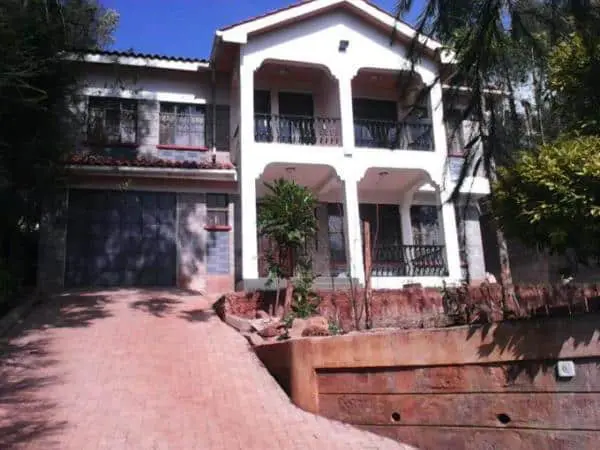 Ngong’ Hills Beats Paris as Most Romantic Movie Site