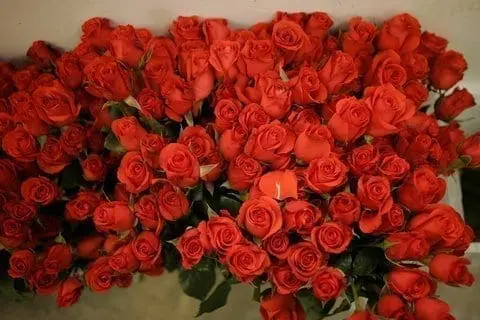 Why Some Women Resent Their Husbands During Pregnancy