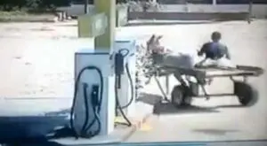Funny Video:Overspeeding Donkey Cart Crashes, Rolls Several Times