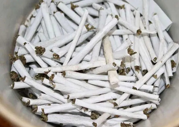 Impounded bhang. Police in Nairobi have arrested a former minister Njenga Karume's grandson over trafficking of cocaine and marijuana. FILE PHOTO | NATION MEDIA GROUP