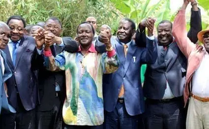 Image result for Nasa takes shape as committee formed