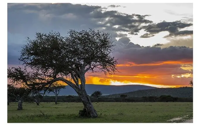Kenya’s National Assembly Hears Call to Legalize Marijuana