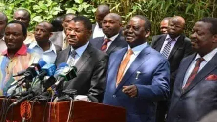 Image result for Jubilee Member of Parliament claims Mudavadi, Kalonzo will leave NASA