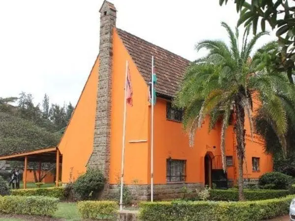 Caroli Omondi kicks out ODM from Orange house