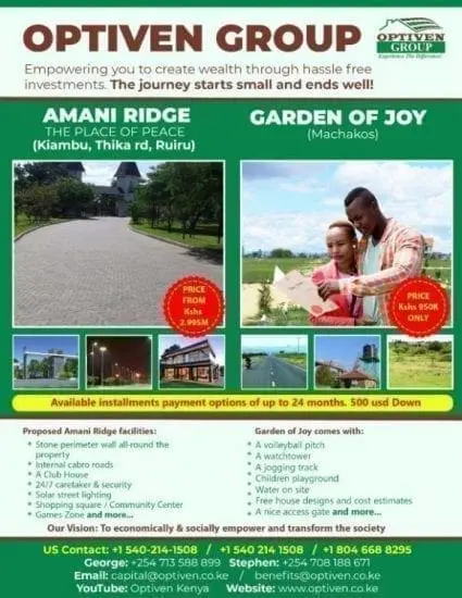 Diaspora has Great Choices on Counties to Invest in Kenya 1 Diaspora has Great Choices on Counties to Invest in Kenya