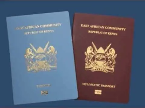 Kenyan Gov't Must Enhance Services for Diaspora