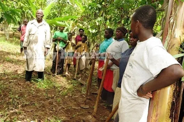 Ugandan Father of 100 children marries four new wives