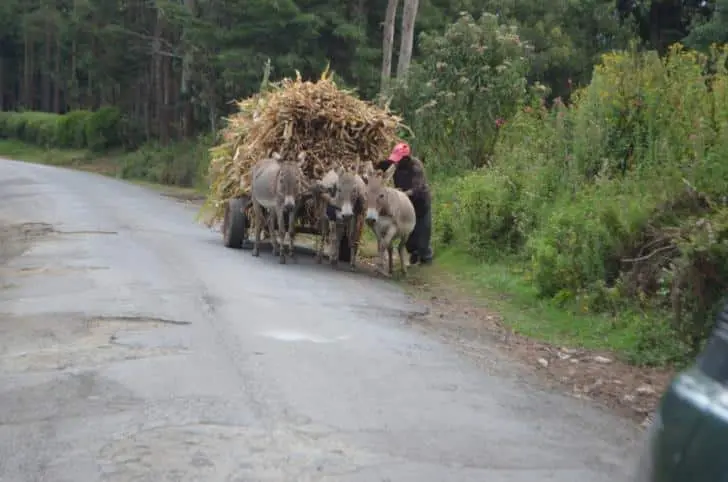 Kenya Village Voices: BBI is Just Another Donkey Ride