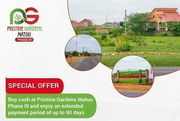 Buy cash and enjoy an extended payment period for up to 90 days