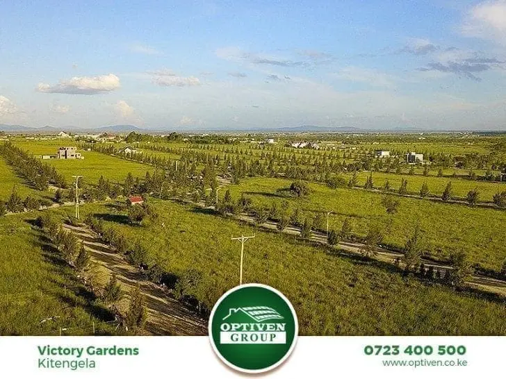 The humble ideas that now form part of Mind-Blowing Victory Gardens Phases 3, 4 & 5