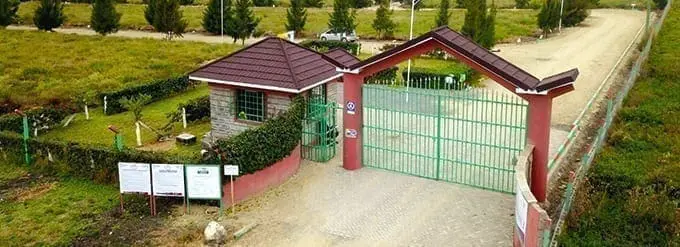 Our Thrilling Two Hours Tour at Victory Gardens Phase 3 4 & 5