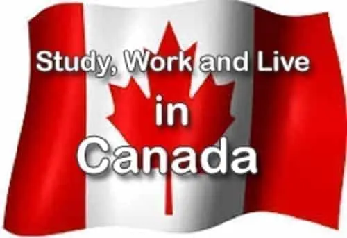 Kenyan woman arrested for conning jobseekers Sh900k for jobs in Canada