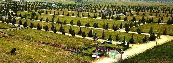 Optiven Firmly Committed to Going Green to protect the environment