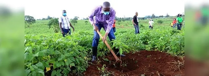 GOGREEN Campaign By Optiven Fast tracks UN Food Tree Agenda