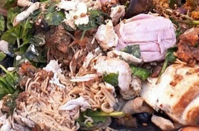 How Food Waste Is Harming Our Environment 1 How Food Waste Is Harming Our Environment
