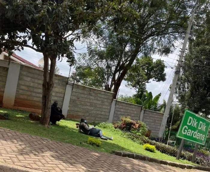 Boniface Mwangi Insist Francis Atwoli Road Sign Will Come Down Again 2 Francis Atwoli Road Sign