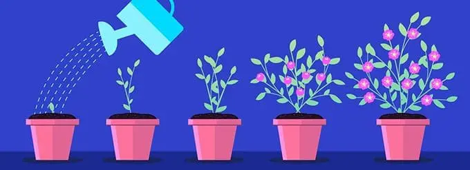 How to tap in to Flourish-Favour comes with responsibility in order to flourish