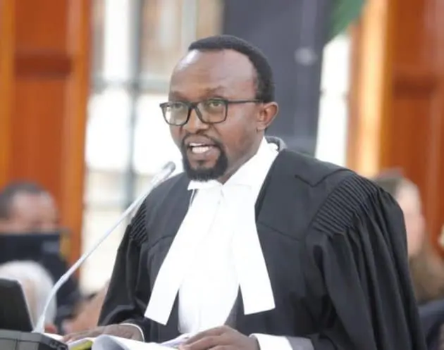 Kenyan lawyer says Diaspora Is Not A Constituency, It Contaminates Election