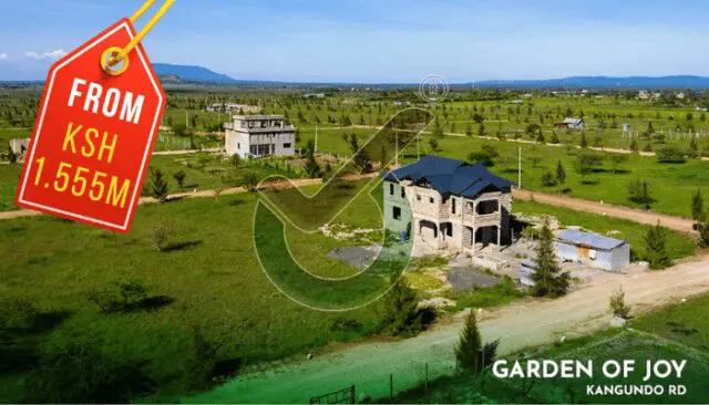 Retirement: A Plan for The Golden Years-Optiven Group