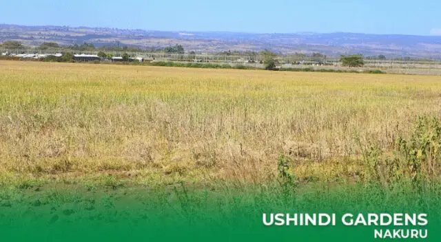 Optiven’s Ushindi Gardens Upscales Nakuru 1 Optiven’s Ushindi Gardens Upscales Nakuru: Ushindi Gardens in Nakuru by Optiven
