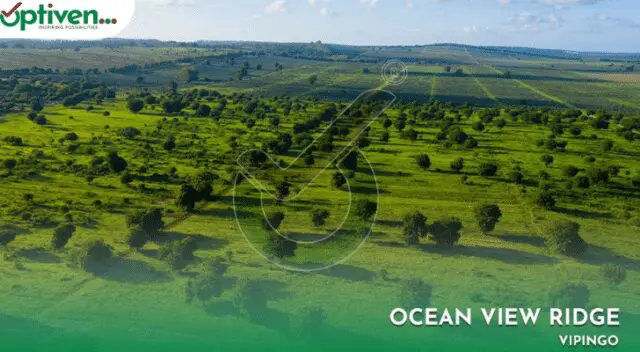 Your Beachfront Dream Destination: Ocean View Ridge Vipingo