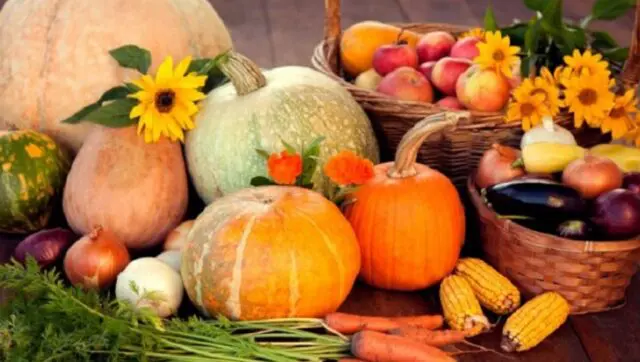 Beliefs: Why Christians Choose not to Celebrate Halloween