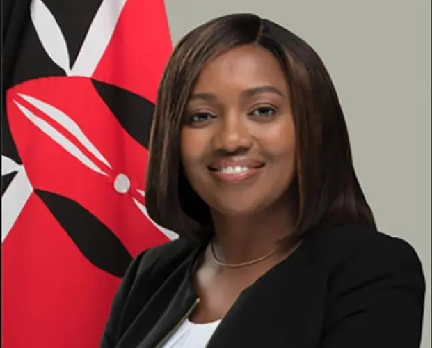 Susan Kihika Reveal Why She Chose to Give Birth In The US