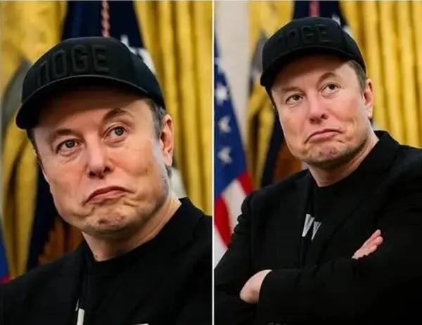 Elon Musk's Empire Is Struggling After Political Feuds