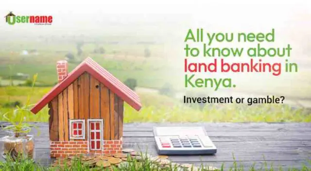 Land Banking in Kenya: Investment or Gamble? Expert Guide