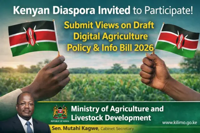 Kenyan Diaspora Invited for Public Participation in Digital Future