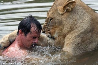 Kevin Richardson, Kevin Richardson Swim With Lioness, Kevin Richardson Swim With Lioness Photos, Kevin Richardson Swim With Lioness Video