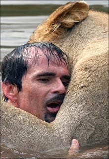 Lioness swiming with Kevin Richardson