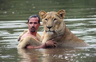 Kevin Richardson, Kevin Richardson Swim With Lioness, Kevin Richardson Swim With Lioness Photos, Kevin Richardson Swim With Lioness Video