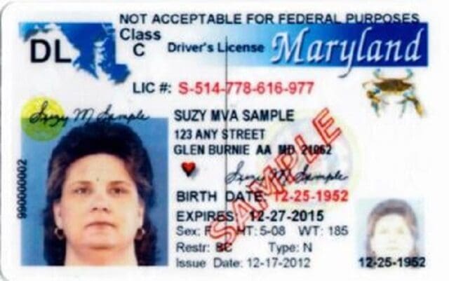 Drivers License for Undocumented Immigrants in Maryland