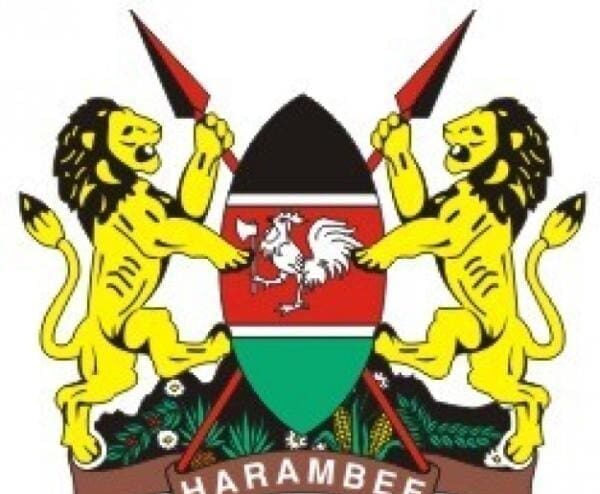 Foreign Affairs to Engage Only with Registered Diaspora Groups