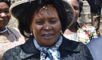 Outrage: Kenyans sharp reactions to Mary Wambui’s appointment