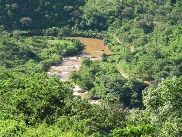 Panic as Four Bodies Dumped in Machakos Riverbeds