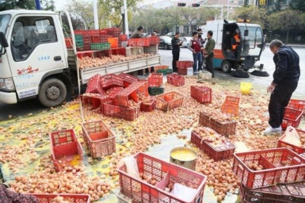 A Chinese Truck Spilled Thousands of Eggs on the Highway