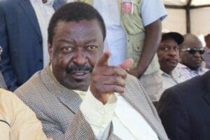 Mudavadi